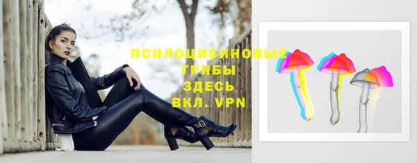 тгк Зеленокумск