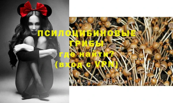 спиды Зеленодольск