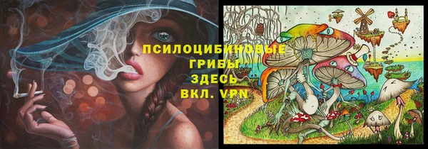 тгк Зеленокумск