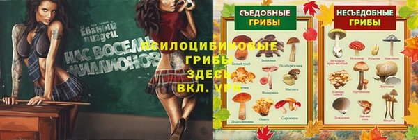 спиды Зеленодольск