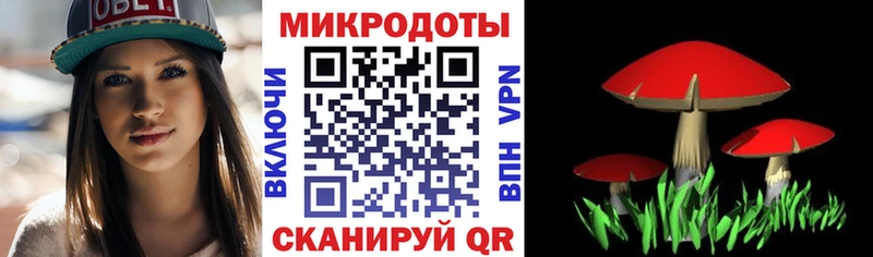 Купить Котельники Псилоцибиновые грибы мухоморы